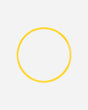 S4138420_GIALLO