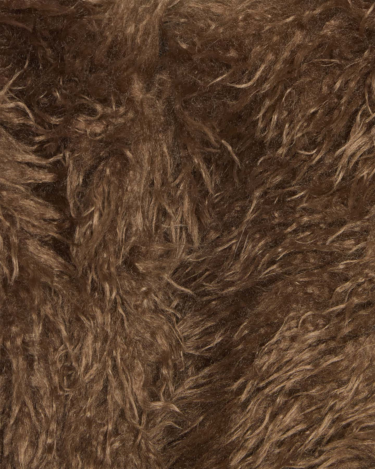 S4154569_19_1116cl002
