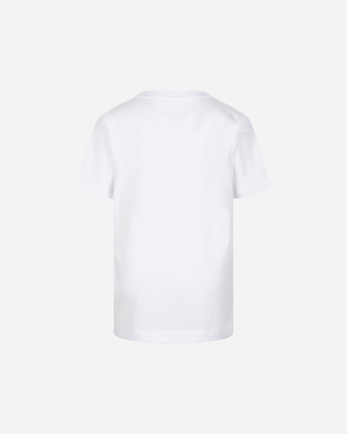 S5690262_001cl001
