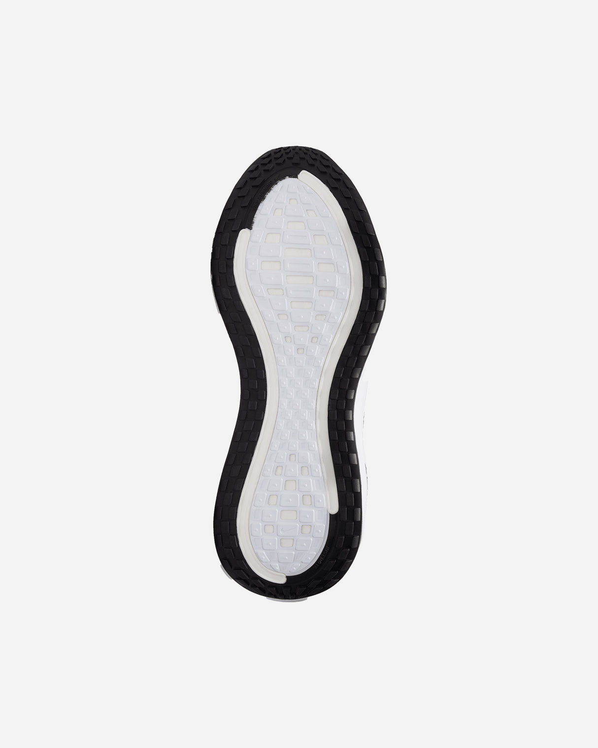 S5855236_002cl002