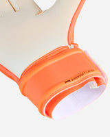 S5893548_12cl002
