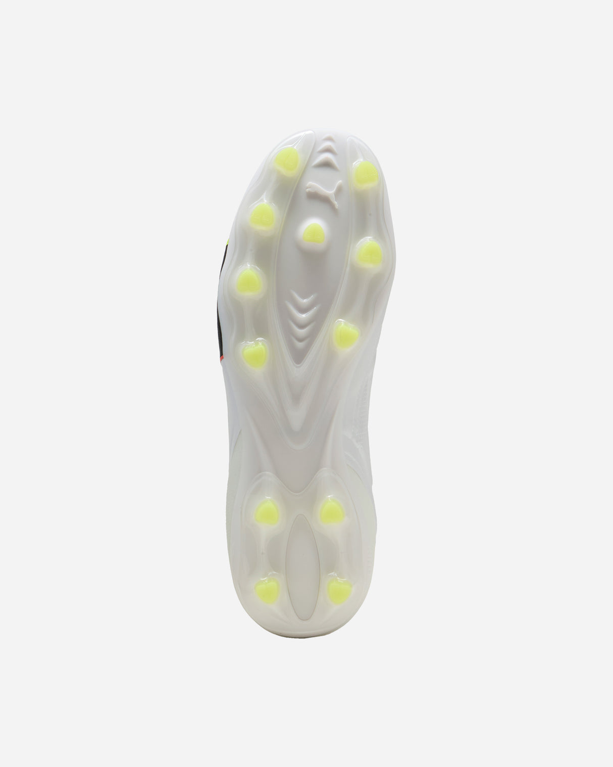 S5973894_01cl002