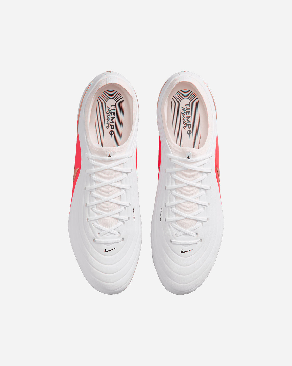S6038433_101cl003