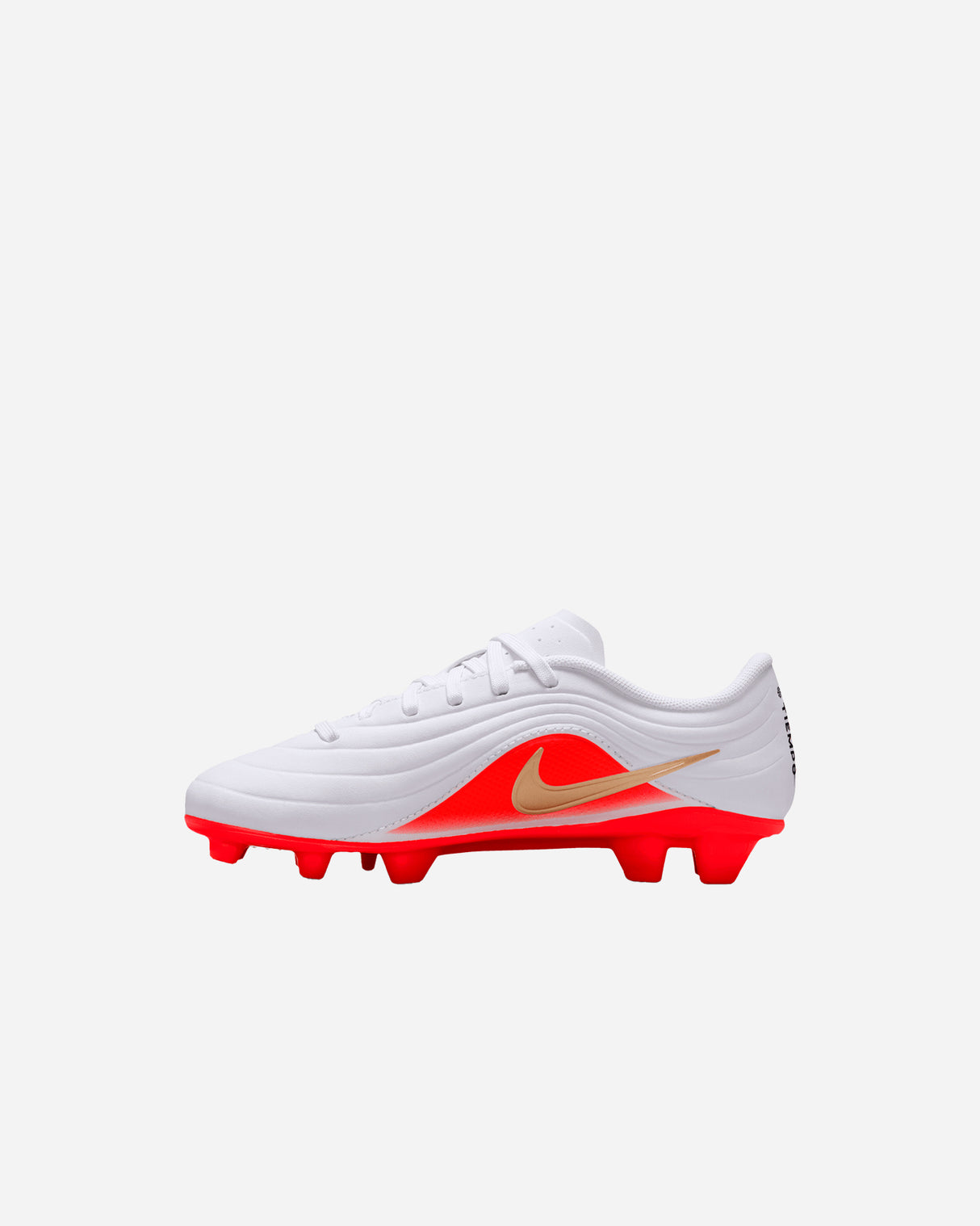 S6039124_100cl005