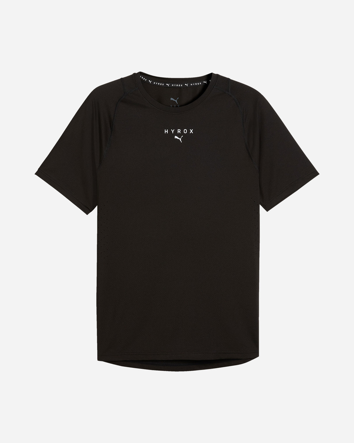 S6050805_01