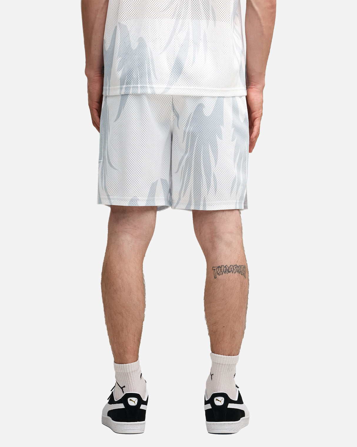 S6050956_03cl003