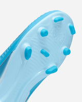 S6099684_401cl005
